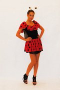 95 Lienka V38-40, 15€